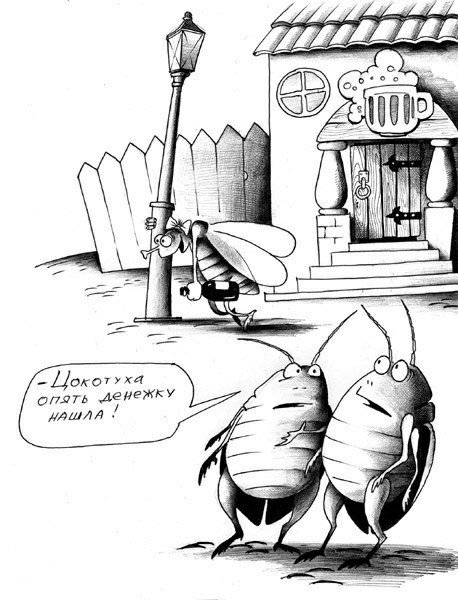 Муха карикатура