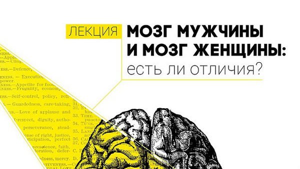 Разница между мозгом мужчины и женщины