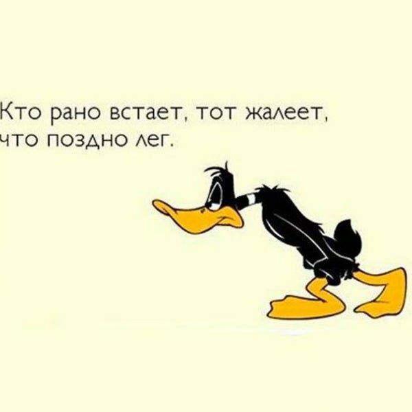 Кто рано встает тот жалеет что поздно лег