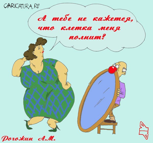Зеркало карикатура