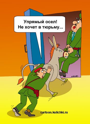Осел карикатура