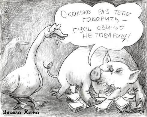 Гусь свинье не товарищ