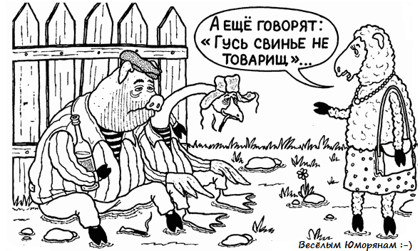 Гусь свинье не товарищ анекдот