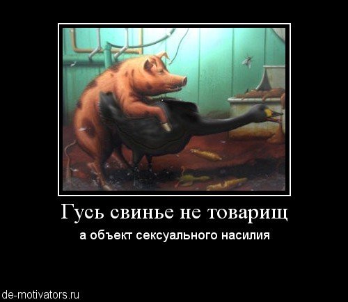 Гусь свинье не товарищ