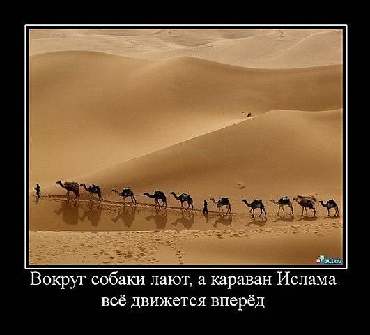 Собаки лают Караван идет