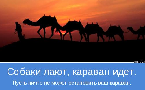 Собака лает Караван идет Путин