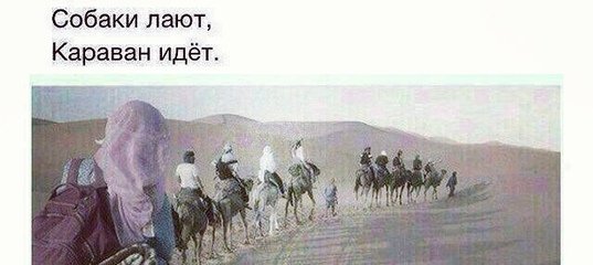 Собака лает ветер носит