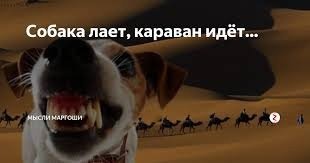 Карикатура собака лает караван идет (48 фото)