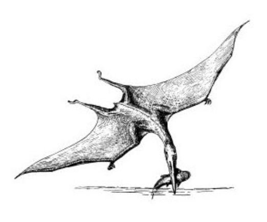 Птеродактиль Мем