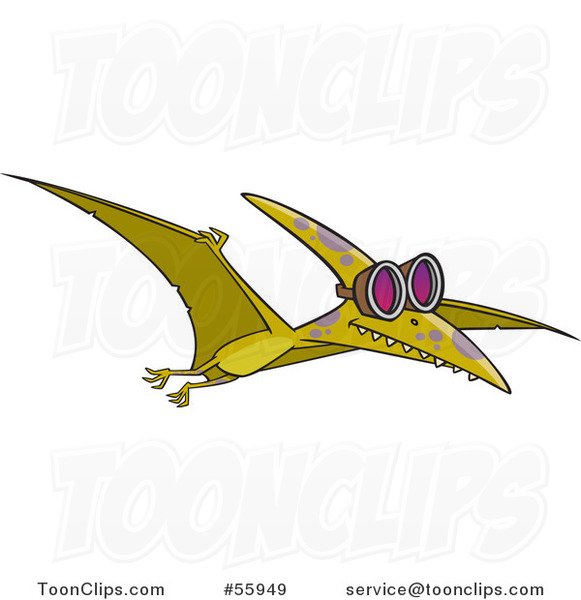 Конвергентная Эволюция