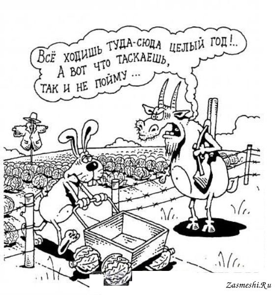 Карикатуры на Зайцев