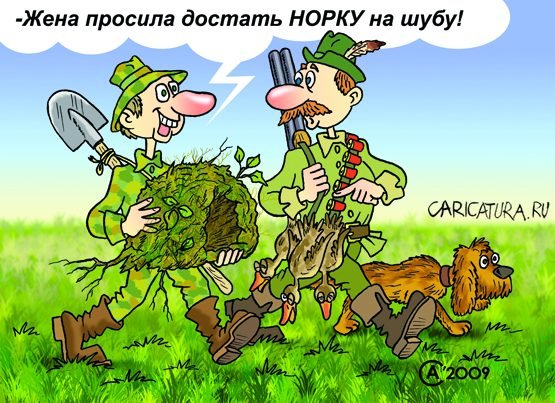 Охотник карикатура