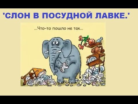 Слонёнок в посудной лавке