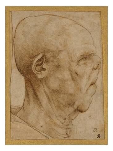 Леонардо да Винчи гротески