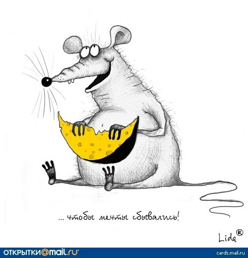 Карикатура с днем рождения