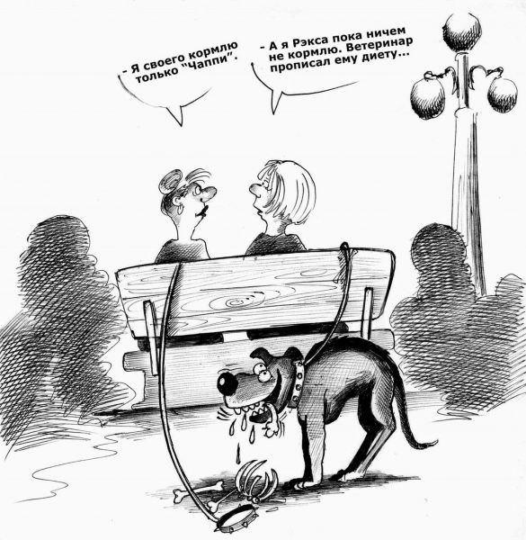 Собака карикатура