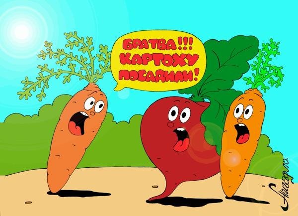 Шутки про овощи