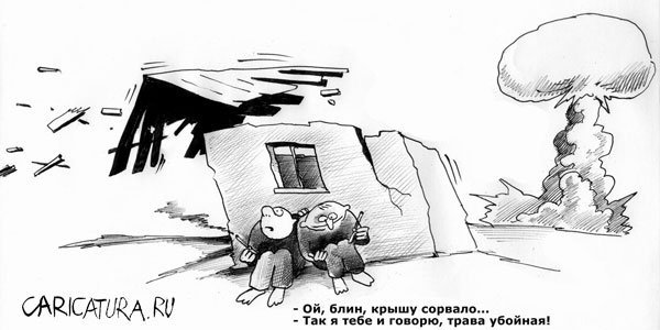 Крышу сорвало карикатура
