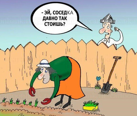 Смешные карикатуры про дачников