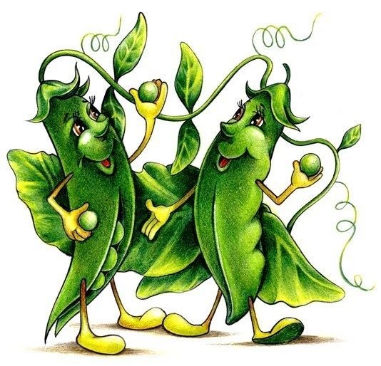 Сказочный горох