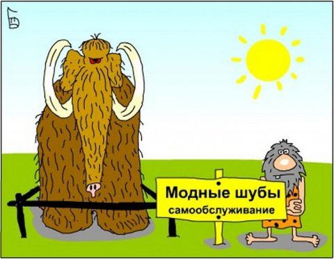 Юмор про шубу