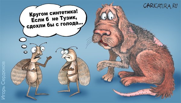 Русская женщина карикатура