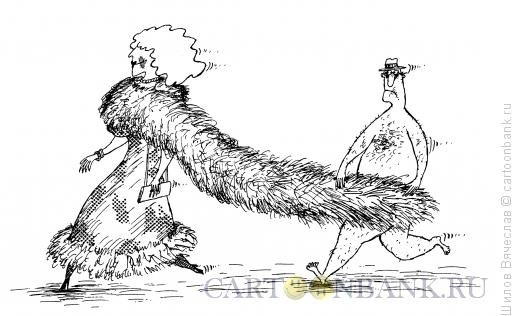 Женщина в шубе карикатура