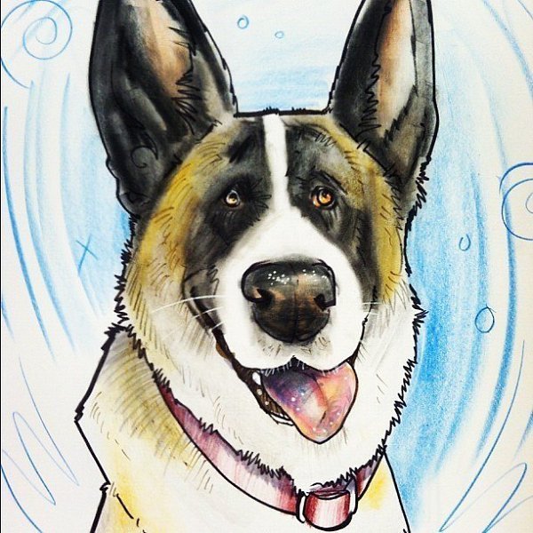 Немецкая овчарка шарж