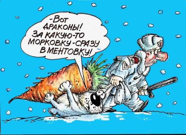 Шутки про морковку