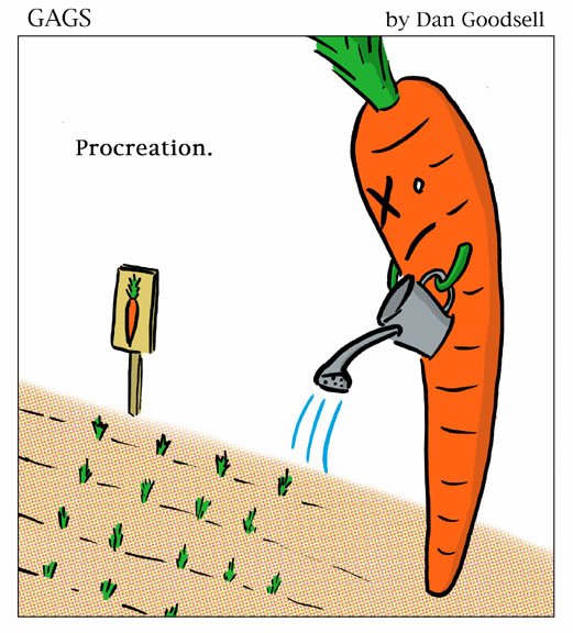 Анекдот про морковку