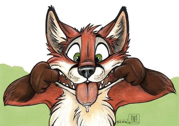 Смешные мультяшные лисы