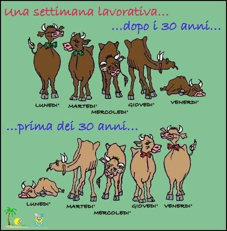 С рабочей неделей картинки прикольные