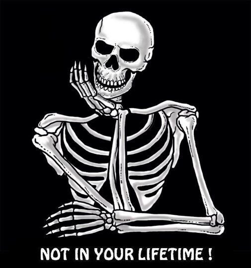 Скелет с надписями