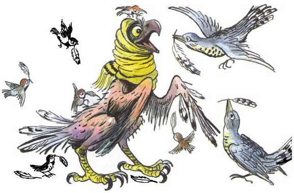 Сокол смешная карикатура