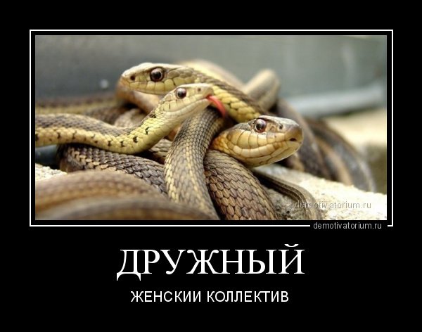 Дружный коллектив