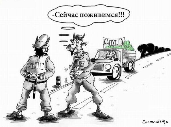 Автоюмор карикатуры