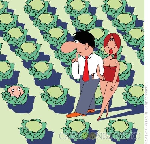 Капуста юмор картинки