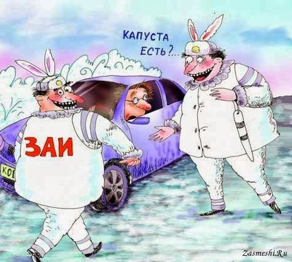 Смешная капуста