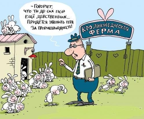Я увольняюсь карикатура