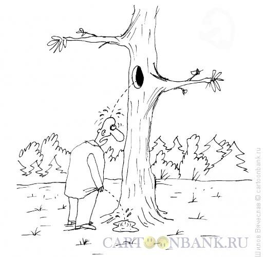 Буратино карикатура