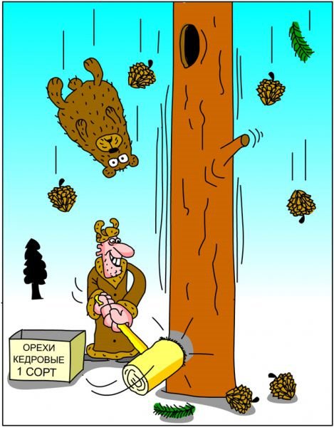 Карикатуры про белку