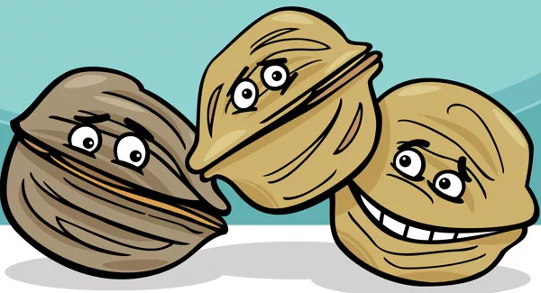 Весёлый орех