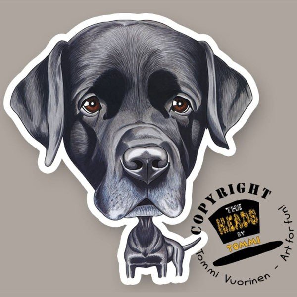 Карикатуры на собак лабрадор