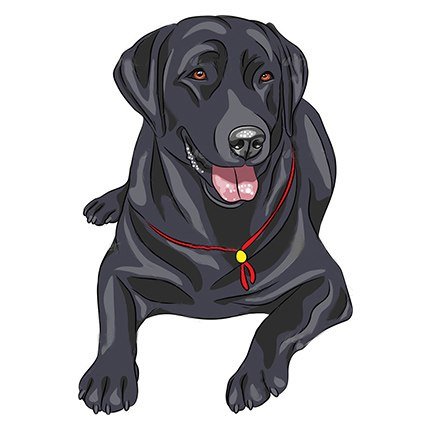 Рисунки глазастых собак