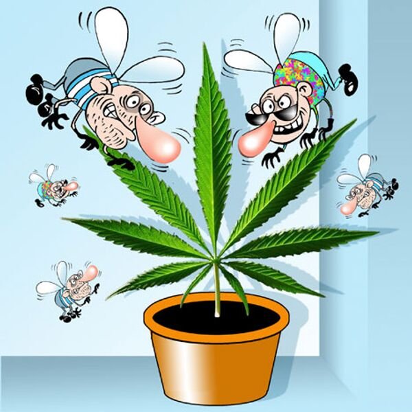 Канабис карикатуры