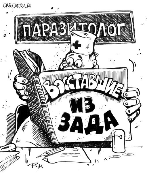 Дармоед карикатура