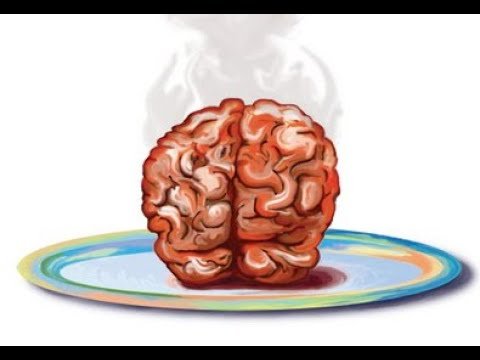 Твой мозг