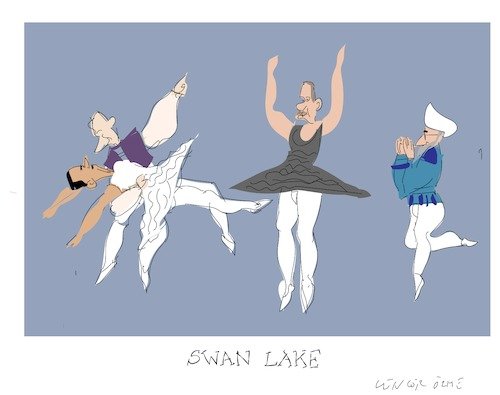 Swan Lake cartoon