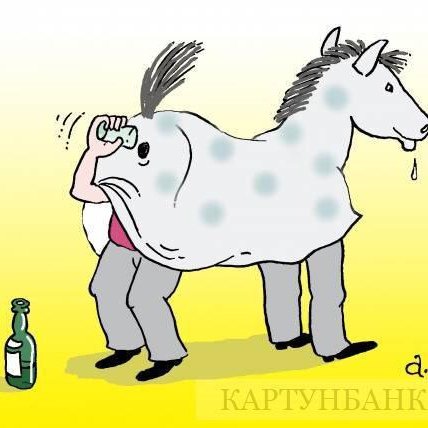 Лошадь карикатура