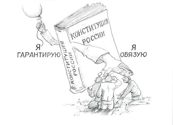 Конституция РФ карикатура